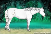 Horse Color:Silver Bay Tobiano Appaloosa 