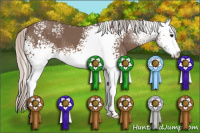 Horse Color:White Spotted Silver Black Sabino 