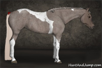 Horse Color:Silver Blue Roan Tobiano 