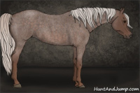 Horse Color:Silver Blue Roan 