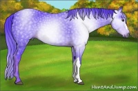 Horse Color:Gray Watercolor Chestnut 