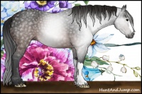 Horse Color:Gray Brown 