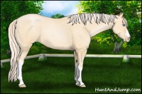 Horse Color:Palomino Pearl 