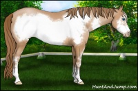 Horse Color:Brown Pearl Sabino Frame 