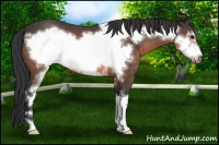 Horse Color:Brown Sabino Frame 