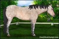 Horse Color:Bay Ice Dun 