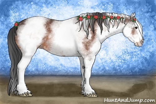 Horse Color:White Spotted Bay