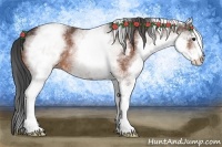 Horse Color:White Spotted Bay 