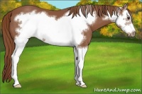 Horse Color:Chestnut Splash Frame 