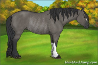 Horse Color:Grullo Rabicano 