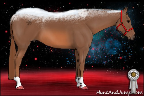 Horse Color: Liver Chestnut 