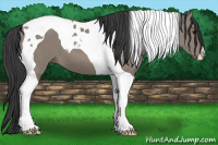 Horse Color:Grullo Tobiano 