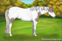 Horse Color:Silver Smoky Grullo Tobiano Frame