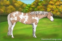 Horse Color:White Spotted Silver Black Pearl Sabino 