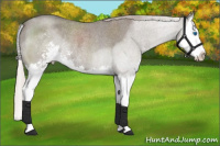 Horse Color:Silver Grullo Roan Sabino Splash Rabicano 