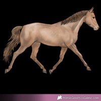 Horse Color:Black Pearl