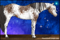 Horse Color:White Spotted Bay Ice Rabicano 