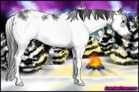 Horse Color:Grullo Sabino Frame 