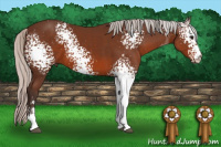 Horse Color:White Spotted Silver Brown Sabino 