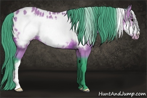 Horse Color: Watercolor Bay Frame Blanket 