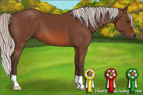 Horse Color: Silver Bay 
