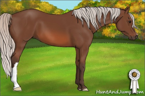 Horse Color: Silver Bay 