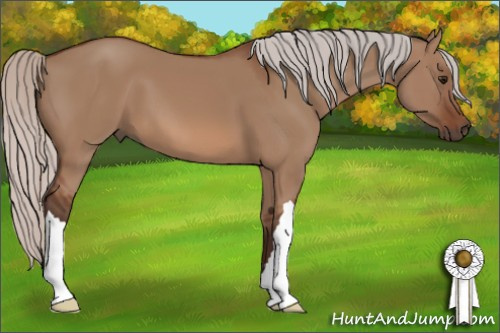 Horse Color: Silver Bay Dun 
