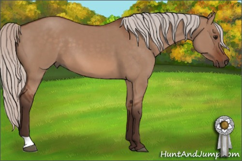 Horse Color: Silver Bay Dun 