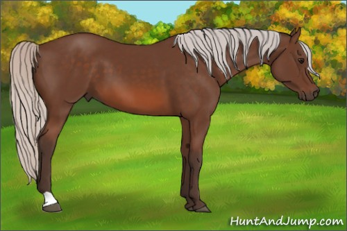 Horse Color: Silver Bay 