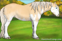 Horse Color:Palomino Dun Splash 