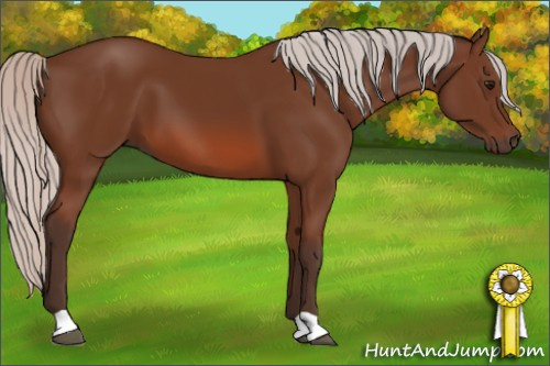 Horse Color: Silver Bay 