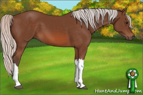 Horse Color: Silver Bay 