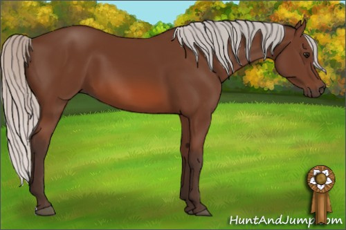 Horse Color: Silver Bay 