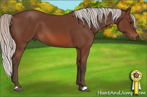 Horse Color: Silver Brown 