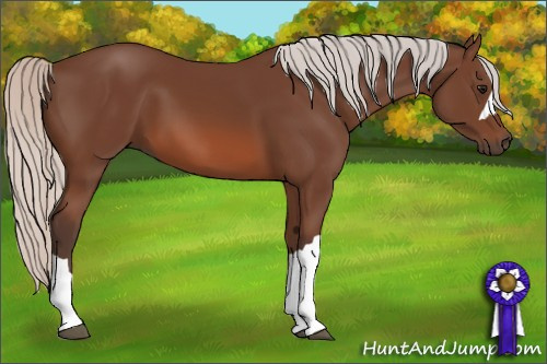 Horse Color: Silver Brown 