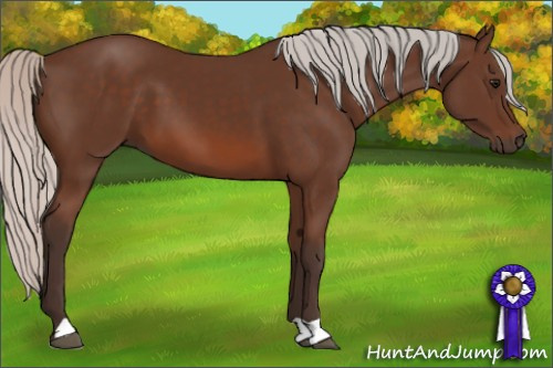 Horse Color: Silver Brown 