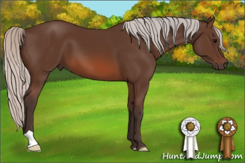 Horse Color: Silver Brown 