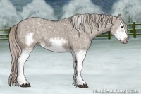 Horse Color:Silver Grullo Ice Splash Frame Rabicano 