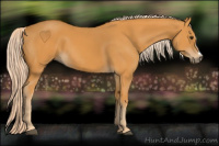 Horse Color:Palomino 