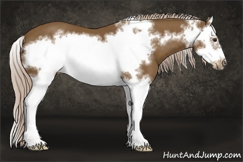 Horse Color: Chocolate Palomino Splash Frame 