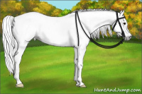 Horse Color:Gray White Spotted Black 