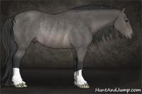 Horse Color:Brown Rabicano