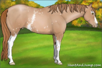 Horse Color:White Spotted Liver Chestnut Pearl 