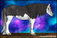 Horse Color:Smoky Black Splash 