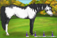 Horse Color:Black Frame 