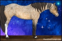 Horse Color:White Spotted Buckskin Ice Roan 