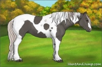 Horse Color:Silver Black Tobiano 