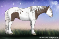 Horse Color:Silver Black Splash Tobiano 