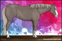 Horse Color:Silver Blue Roan Splash 