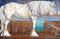 Horse Color:Silver Classic Cream Champagne Blanket